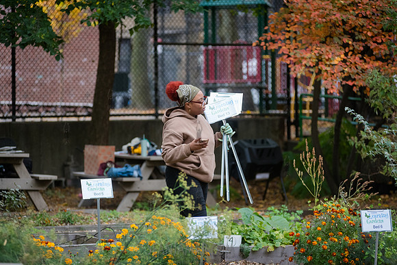 CPF Learn - Learning Gardens - Grove Hill Community Garden - NYC