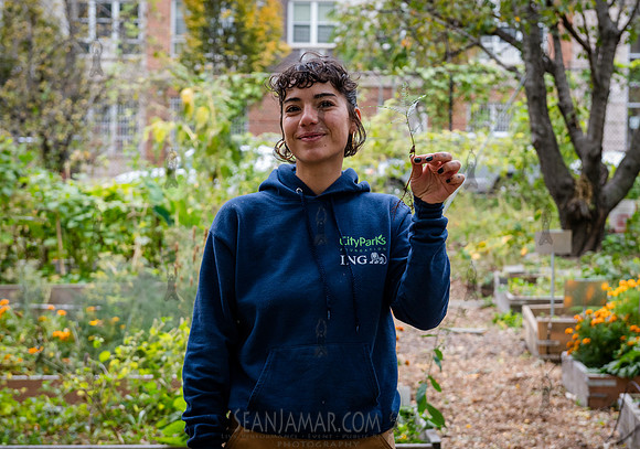 CPF Learn - Learning Gardens - Grove Hill Community Garden - NYC