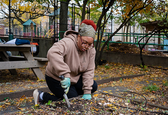 CPF Learn - Learning Gardens - Grove Hill Community Garden - NYC