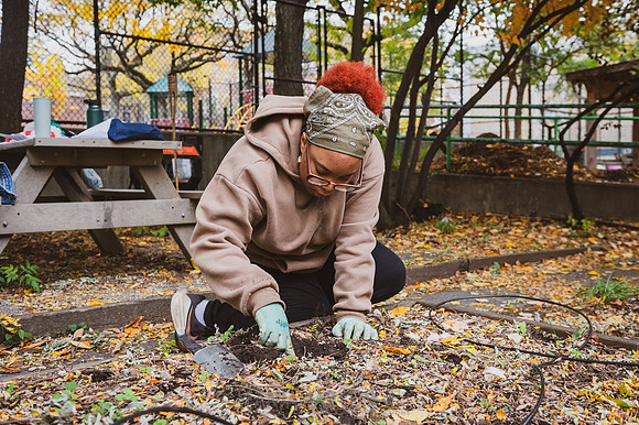 CPF Learn - Learning Gardens - Grove Hill Community Garden - NYC