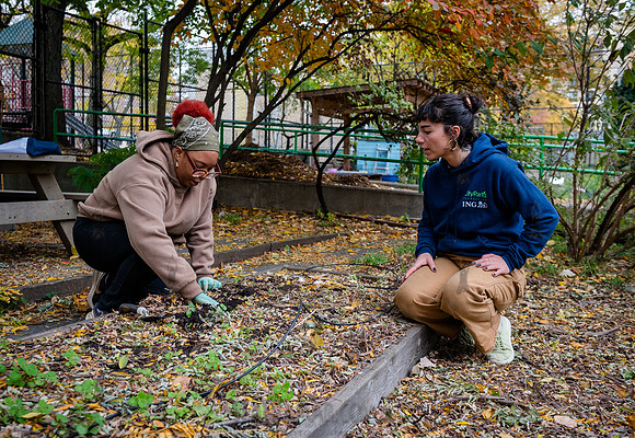CPF Learn - Learning Gardens - Grove Hill Community Garden - NYC