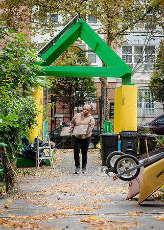 CPF Learn - Learning Gardens - Grove Hill Community Garden - NYC