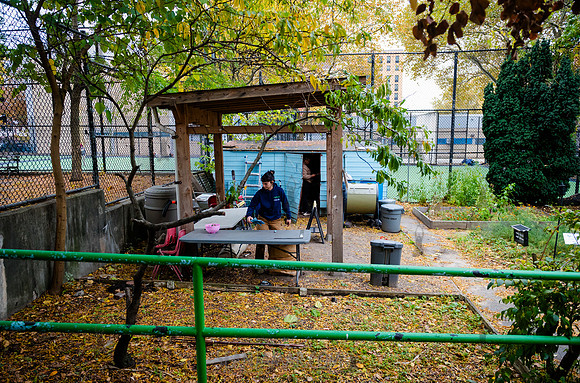 CPF Learn - Learning Gardens - Grove Hill Community Garden - NYC