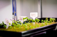 CPF Learn - Eco Innovators - HS of Enviormental Studies - NYC -