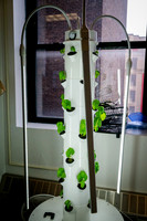 CPF Learn - Eco Innovators - HS of Enviormental Studies - NYC -