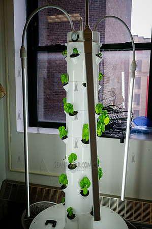 CPF Learn - Eco Innovators - HS of Enviormental Studies - NYC -