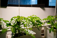 CPF Learn - Eco Innovators - HS of Enviormental Studies - NYC -