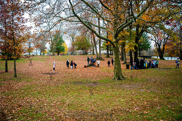 CPF Learn - Seeds To Trees - Wolfes Pond Park - NYC - 2025