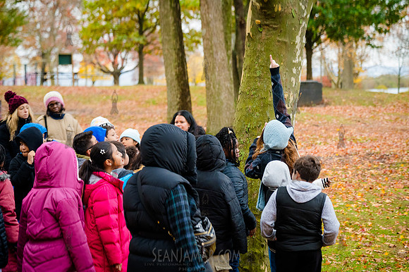 CPF Learn - Seeds To Trees - Wolfes Pond Park - NYC - 2025