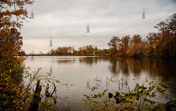 CPF Learn - Seeds To Trees - Wolfes Pond Park - NYC - 2025