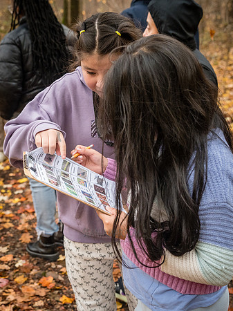 CPF Learn - Seeds To Trees - Wolfes Pond Park - NYC - 2025