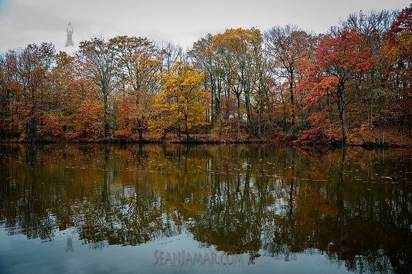 CPF Learn - Seeds To Trees - Wolfes Pond Park - NYC - 2025