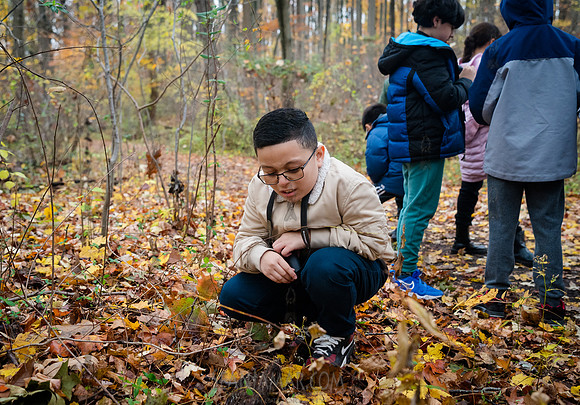 CPF Learn - Seeds To Trees - Wolfes Pond Park - NYC - 2025