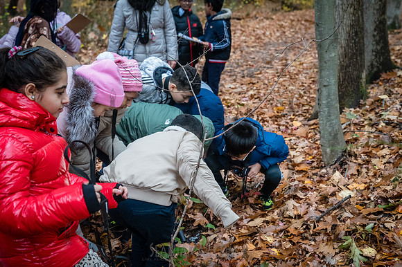 CPF Learn - Seeds To Trees - Wolfes Pond Park - NYC - 2025