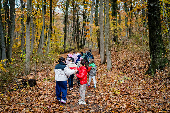 CPF Learn - Seeds To Trees - Wolfes Pond Park - NYC - 2025