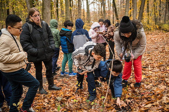 CPF Learn - Seeds To Trees - Wolfes Pond Park - NYC - 2025