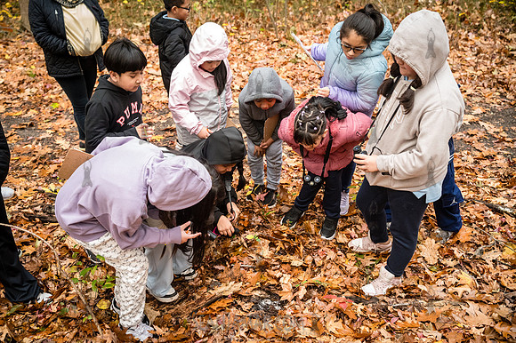 CPF Learn - Seeds To Trees - Wolfes Pond Park - NYC - 2025