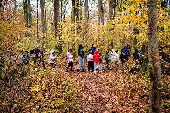CPF Learn - Seeds To Trees - Wolfes Pond Park - NYC - 2025