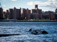 Bushwick Inlet Park - Adventure Day - MN BK QN - NYC - 2025