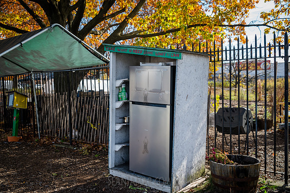 CPF Green Fund - Wycoff House Museum Visit - NYC - 2025