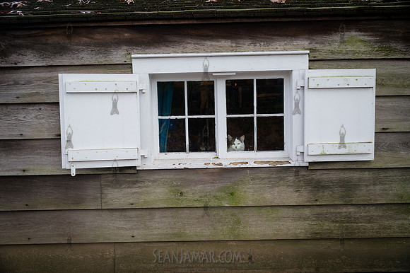 CPF Green Fund - Wycoff House Museum Visit - NYC - 2025