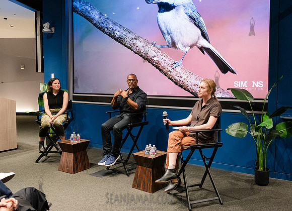 Simons Foundation Presents - Birds on the Brain - Simons Foundat