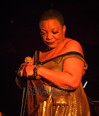 Ms Blu - Zinc Bar - NYC - 2017
