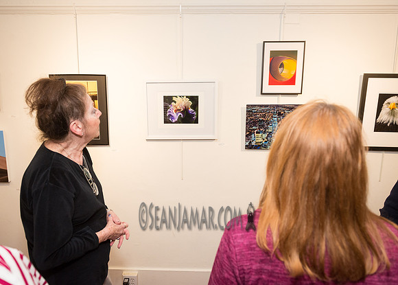 TCC - Through Our Eyes - Sandy Bennett Art Gallery - Bergen PAC - Englewood NJ - 2018