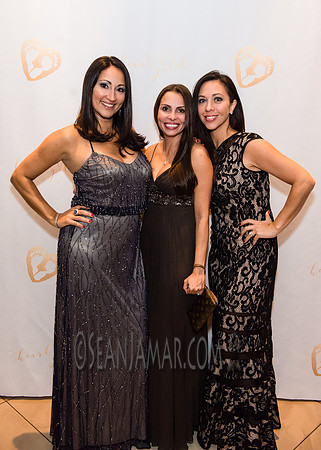Heart of Gold Gala - The Fiesta - Woodridge NJ - 2016