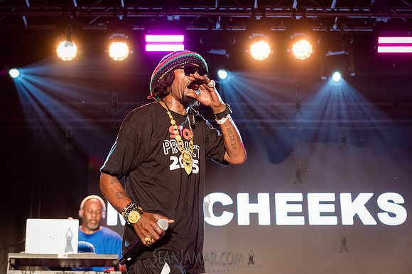 CPF SummerStage - Chuck Chillout 40th Radio Anniv - Crotona Park