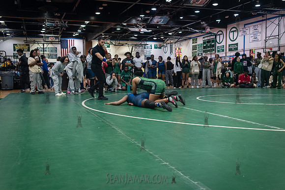 PSAL Girls Individual Championships - Harry S Truman HS - NYC -