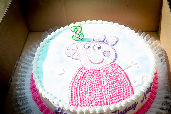 Naylas 3rd BDay Party - Rockland Lake Park - Nyack NY - 2014