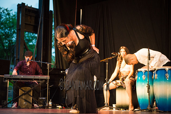 Nelida Tirado - Made in the Bronx presented by BAAD - St Marys Park - BX NYC - 2017