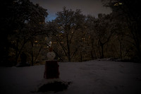 Adventure Day - NJ + NYC - 2025