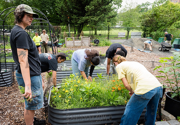 NYC Green Fund - Van Cortlandt Park Alliance Intern Training - V