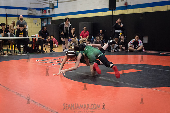 PSAL Girls Individual Championships - Harry S Truman HS - NYC -