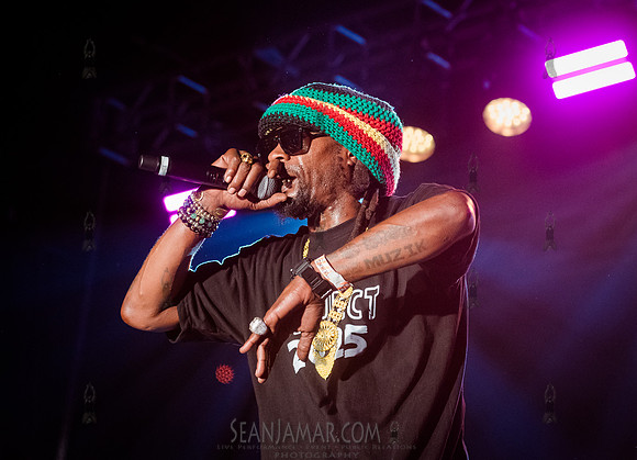 CPF SummerStage - Chuck Chillout 40th Radio Anniv - Crotona Park
