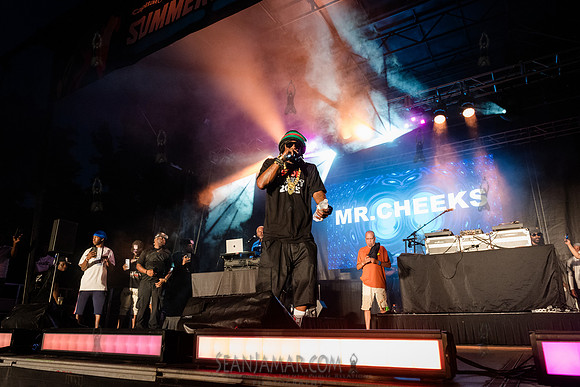 CPF SummerStage - Chuck Chillout 40th Radio Anniv - Crotona Park