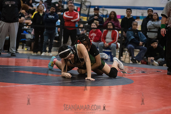 PSAL D1 Wrestling Championships - Harry S Truman - NYC - 2023