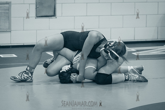 PSAL D1 Wrestling Championships - Harry S Truman - NYC - 2023