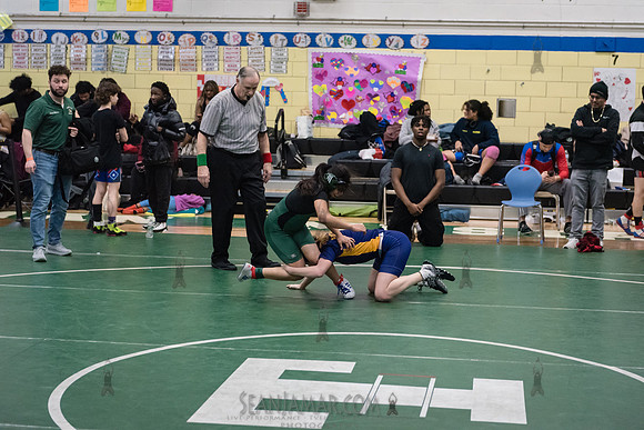 PSAL D1 Wrestling Championships - Harry S Truman - NYC - 2023
