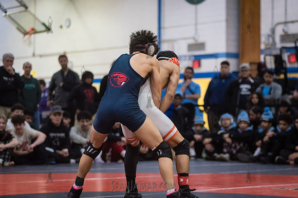 PSAL D1 Wrestling City Championship - Harry S Truman HS - NYC -