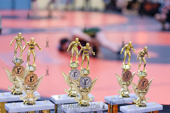 D1 Individual Wrestling Championship - Harry Truman HS - NYC - 2022
