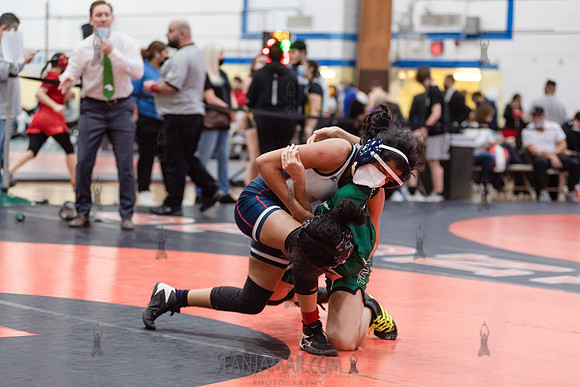 D1 Individual Wrestling Championship - Harry Truman HS - NYC - 2022