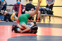 D1 Individual Wrestling Championship - Harry Truman HS - NYC - 2022