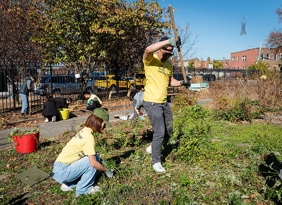 CPF Learn - Learning Gardens Liberty Learning Garden - NYC - 202