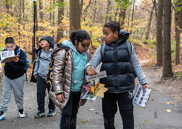 CPF Learn - Seeds To Trees - Prospect Park - NYC - 2024