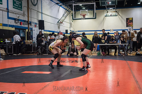 PSAL Girls Individual Championships - Harry S Truman HS - NYC -