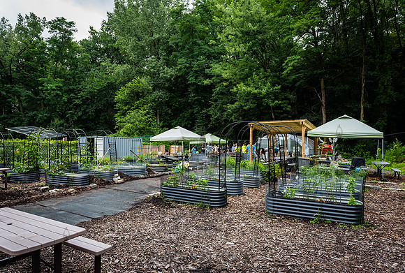 NYC Green Fund - Van Cortlandt Park Alliance Intern Training - V