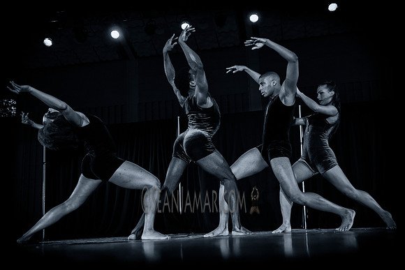 Opus Dance Theatre